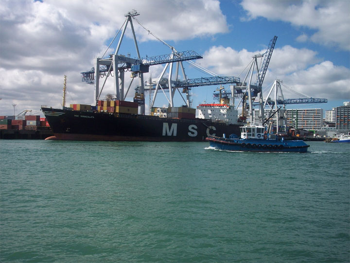 Container vessel MSC IMMACOLATA