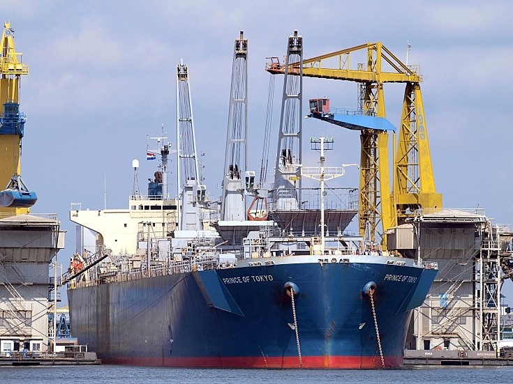 Wood chips carrier Prince of Tokyo