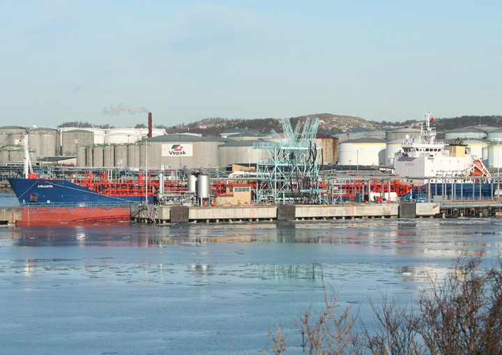 Arianta at Skarvikshamn
