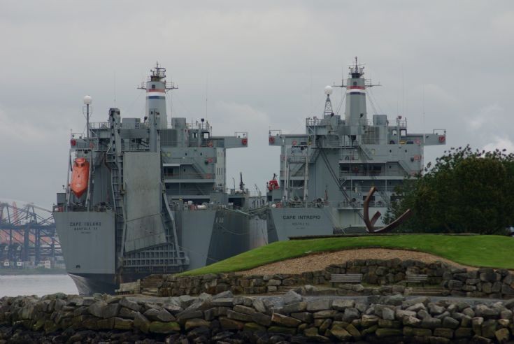 Pair of Cape Transports