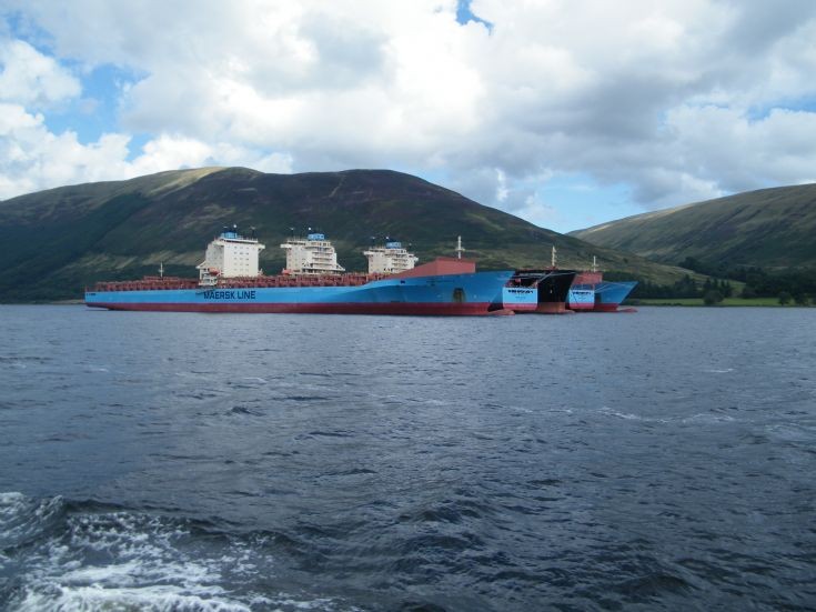 maersk bentonville