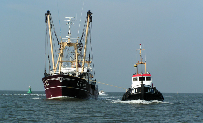 Anita tows