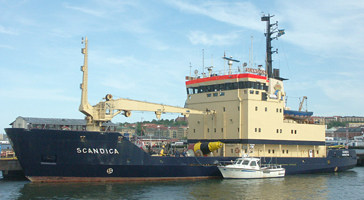 scandica scandica