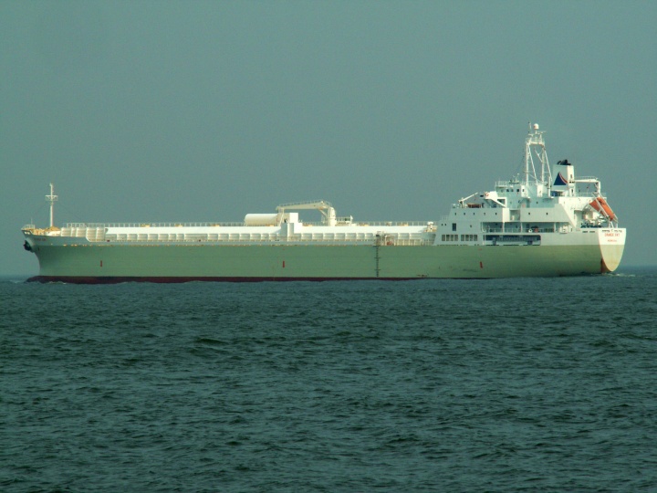 7577.jpg