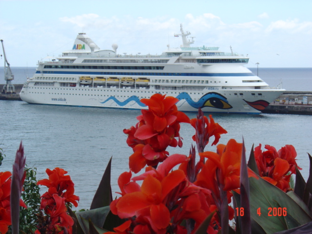 Cruise ship Aida Vita