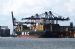 MSC Flaminia