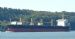 Bay Ranger