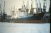MV WESTBURY